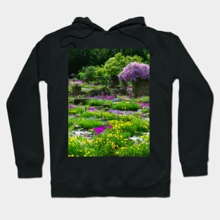 Ruins Covered With Flowers Hoodie